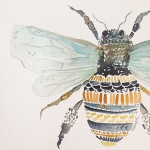 Team Page: Bumble Rumble